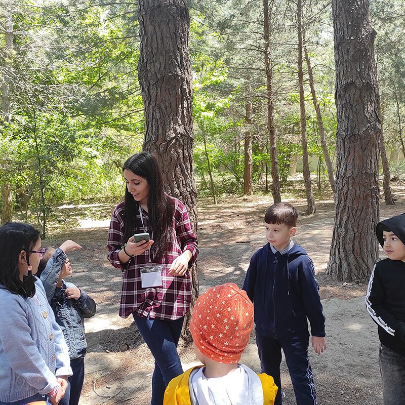 Forest School Azerbaijan - Weekly Meetings